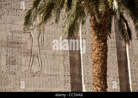 Palme vor der Leichenhalle Tempel des Pharao Ramses III, Medinet Habu, West Bank, Luxor, Ägypten Stockfoto