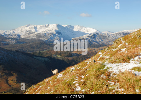 Blick auf Schnee bedeckt Coniston Fells von Herrn Crag im englischen Lake District Stockfoto