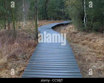 Boardwalk durch Arrach Hochmoor, Bayerischer Wald-Deutschland / Holzsteg Durch Das Arracher Hochmoor, Bayerischer Wald, Deutschland Stockfoto