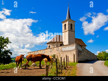 Pferde grasen auf einem Feld vor einer traditionellen Kirche im Dorf von St. Alban De Montbel in der Region Savoyen von Frankreich Stockfoto