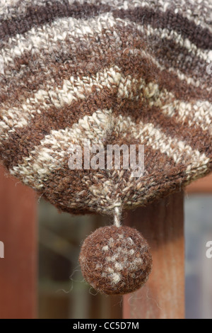 Dokumentation Bilder Abdeckung kleine Schafe Tierhalter in der Forest of Dean vom Tier zum Produkt Stockfoto