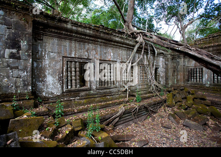 Beng Mealea, Tempel in Angkor Gebiet, Siem Reap, Kambodscha, Asien Stockfoto