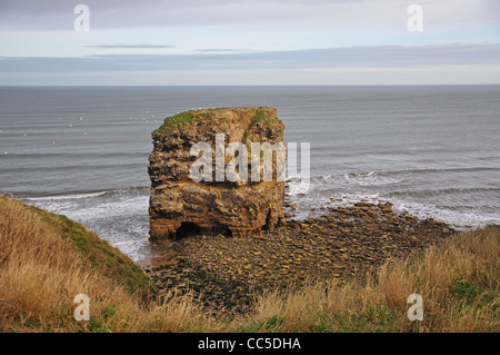 Marsden Rock, Marsden Bay, South Shields, Tyne and Wear, England, Vereinigtes Königreich Stockfoto