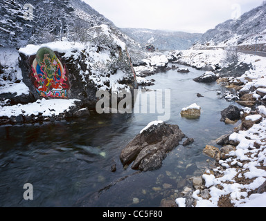 Stein gemalt mit Buddha, Hailuogou Gletscher Forest Nationalpark, Garze, Sichuan, China Stockfoto