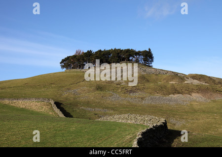 Die alten Hügel Tumulus des Kirkcarrion in Lunedale Teesdale County Durham UK Stockfoto