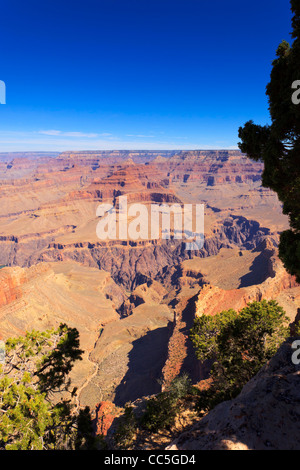 Grand Canyon South Rim Hopi Point Grand Canyon National Park Arizona USA Stockfoto