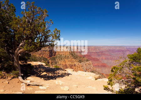 Grand Canyon South Rim Hopi Point Grand Canyon National Park Arizona USA Stockfoto