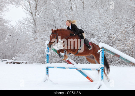 Blonde 22-jährige Mädchen ihr Springpferd in einer Schneelandschaft, konzentrieren sich auf das Mädchen Stockfoto