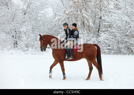 Zwei blonde 22-Jahre Mädchen mit ihrem Pferd in einer Schneelandschaft, konzentrieren sich auf das Mädchen Stockfoto