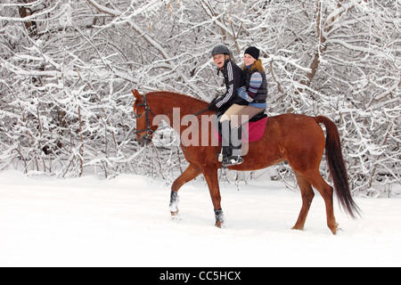 Zwei blonde 22-Jahre Mädchen mit ihrem Pferd in einer Schneelandschaft, konzentrieren sich auf das Mädchen Stockfoto