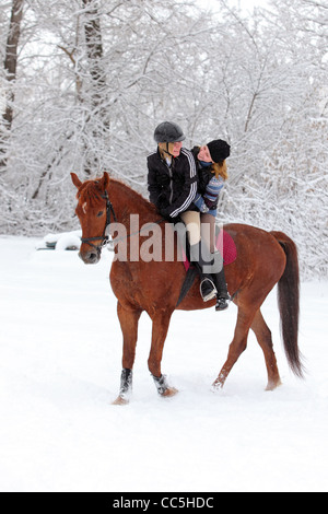 Zwei blonde 22-Jahre Mädchen mit ihrem Pferd in einer Schneelandschaft, konzentrieren sich auf das Mädchen Stockfoto