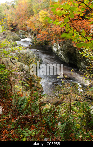Schlucht von der River North Esk, bekannt als der Felsen der Einsamkeit. In der Nähe von Edzell, Angus, Schottland. Oktober.