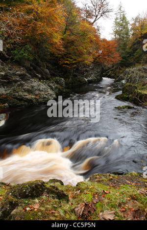 Schlucht von der River North Esk, bekannt als der Felsen der Einsamkeit. In der Nähe von Edzell, Angus, Schottland. Oktober.