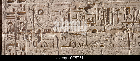 Panorama-Aufnahme des Reliefs auf den ersten Pylon am Tempel des Pharao Ramses III, Medinet Habu, West Bank, Luxor, Ägypten Stockfoto