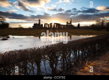 Byland Abbey Coxwold North Yorkshire England im Winter ruiniert Abbey Zisterzienser 1148 aufgelöste von Henry V111 am 30 November 1538 Stockfoto