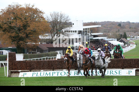 National Hunt springen Rennen in Plumpton Pferderennbahn in East Sussex. Stockfoto