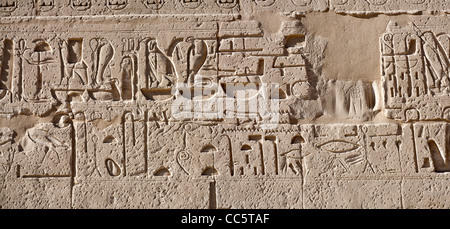 Panorama-Aufnahme des Reliefs auf den ersten Pylon am Tempel des Pharao Ramses III, Medinet Habu, West Bank, Luxor, Ägypten Stockfoto