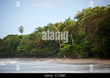 Playa Blanca Beach an der Grenze zum Cahuita Nationalpark Cahuita, Karibikküste, Costa Rica, Mittelamerika Stockfoto