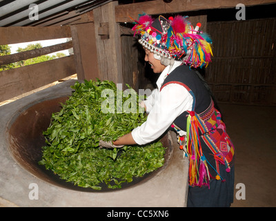 Hani Frau unter Rühren braten, Teeblätter, Mahei Dorf, Yiwu, Xishuangbanna, Yunnan, China Stockfoto