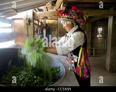 Hani Frau unter Rühren braten, Teeblätter, Mahei Dorf, Yiwu, Xishuangbanna, Yunnan, China Stockfoto