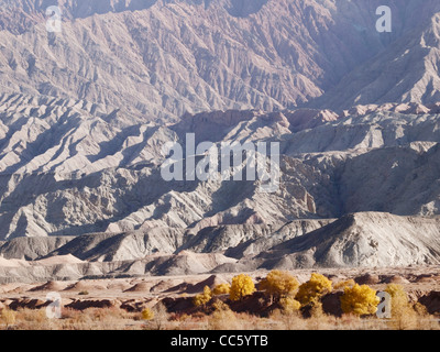 Euphrat-Pappel am Fuße des Festgeschehen Grand Canyon, Aksu Präfektur, Xinjiang, China Stockfoto