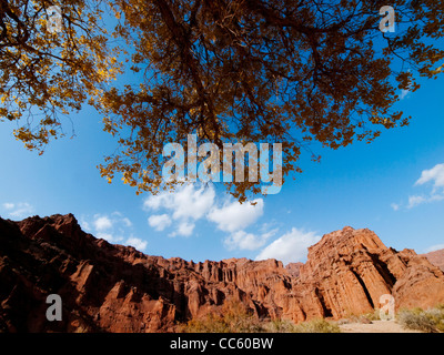 Erfrischende Grand Canyon, Aksu Präfektur, Xinjiang, China Stockfoto