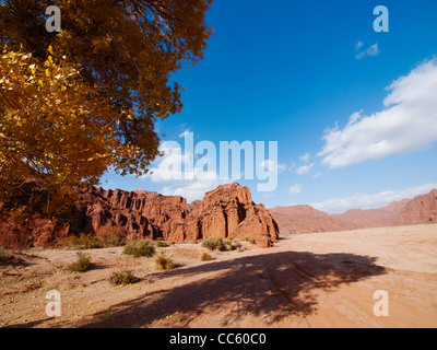 Erfrischende Grand Canyon, Aksu Präfektur, Xinjiang, China Stockfoto