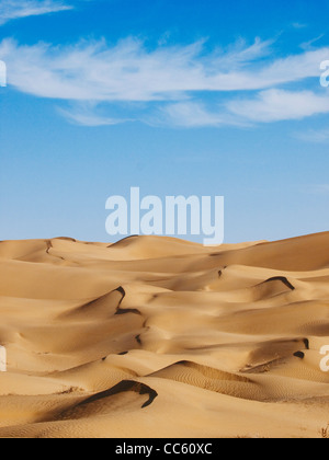 Taklamakan-Wüste, Xinjiang Uyghur autonome Region, China Stockfoto