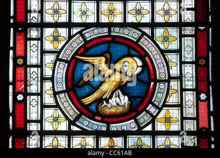 In seiner Frömmigkeit Glasmalerei Pelican, St. Matthew's Church, Salford Priors, Warwickshire, England, Großbritannien Stockfoto