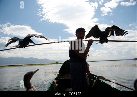 Mann mit zwei Fischadler auf einem Fischerboot, Erhai See, Dali, Yunnan, China Stockfoto