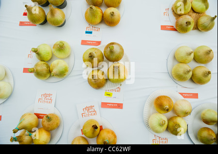 Zwiebeln auf dem Display an Dundee Blumen- und Food Festival. Stockfoto