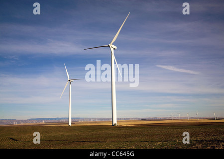 Windräder säumen den Horizont an Windparks entlang der Columbia River Gorge, Oregon und Washington Stockfoto