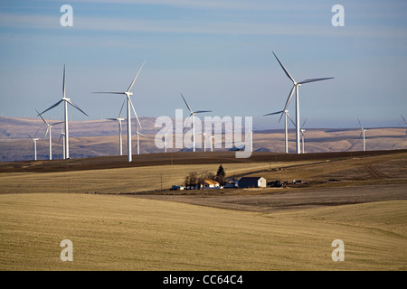 Windräder säumen den Horizont an Windparks entlang der Columbia River Gorge, Oregon und Washington Stockfoto