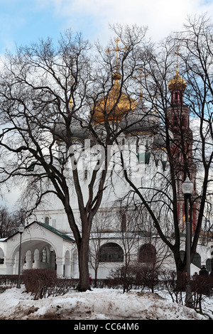 Ein Blick durch die Bäume. Kathedrale der Heiligen Jungfrau von Smolensk. Ensemble der Nowodewitschi-Kloster. Moskau, Russland. Stockfoto