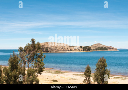 Peru, Lake Titicaca und Titicaca National Reserve, Suasi Island, Puno, Peru. Stockfoto