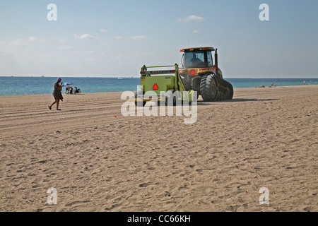 Strand aufräumen in Fort Lauderdale; Florida; USA; Amerika; Nord-Amerika Stockfoto