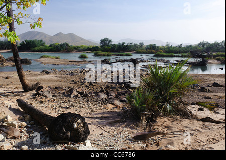 Der Kunenefluss, der Grenze zwischen Namibia und Angola. Von der namibischen Seite gesehen. Stockfoto