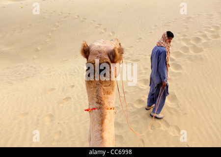 Kamelreiten in der Wüste Thar, Jaisalmer, Rajasthan, Indien Stockfoto