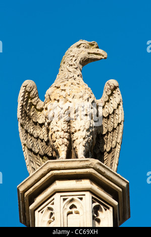 Ein Steinadler auf Str. Johns Hochschule, Cambridge University, England. Stockfoto