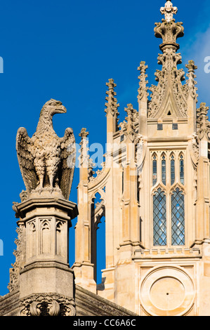 Nahaufnahme Detail mit Steinskulptur eines Adlers auf St. Johns College, Universität Cambridge, England. Stockfoto