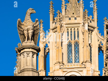 Nahaufnahme Detail mit Steinskulptur eines Adlers auf St. Johns College, Universität Cambridge, England. Stockfoto