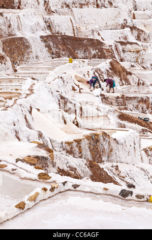 Inca-Arbeiter ernten Salz bei Salinas De Maras Reihenhaus Salinen Pfannen Mine Minen Terrassen, Heiliges Tal, Peru. Stockfoto