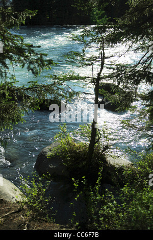 Kanas See, Altay Präfektur, Xinjiang, China Stockfoto