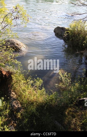 Kanas See, Altay Präfektur, Xinjiang, China Stockfoto