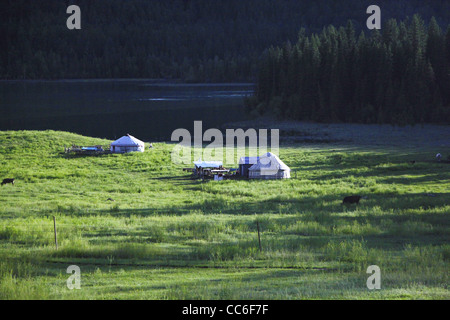 Jurte auf der Wiese neben Kanas-See, Altay Präfektur, Xinjiang, China Stockfoto