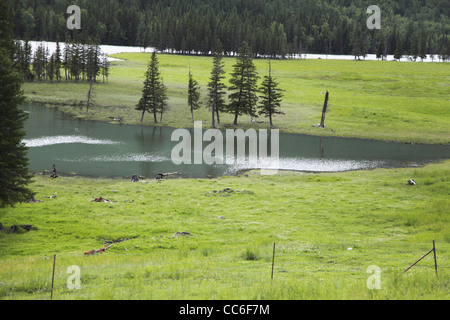 Kanas See, Altay Präfektur, Xinjiang, China Stockfoto