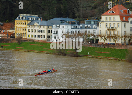 Rudern Team üben auf dem Neckar, Heidelberg, Deutschland Stockfoto