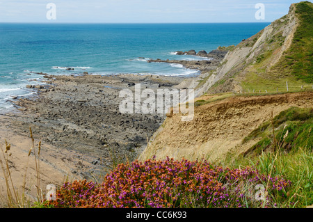 Spekes Mill Mouth in der Nähe von Hartland Quay an der North Devon Heritage Coast. Devon, England. Stockfoto