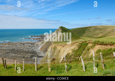 St. Catherine's Tor an der Spekes Mill Mouth in der Nähe von Hartland Quay an der North Devon Heritage Coast. Devon, England. Stockfoto