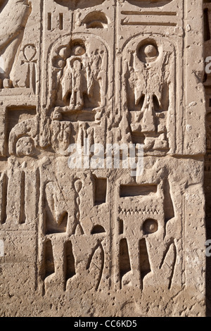Blick auf überschrieben Kartusche auf dem ersten Pylon am Tempel des Pharao Ramses III, Medinet Habu, West Bank, Luxor, Ägypten Stockfoto